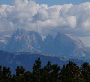 Vinschgau und Umgebung