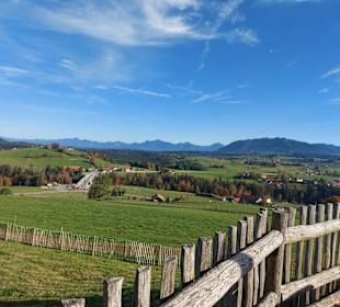 Schönegger Käse-Alm
