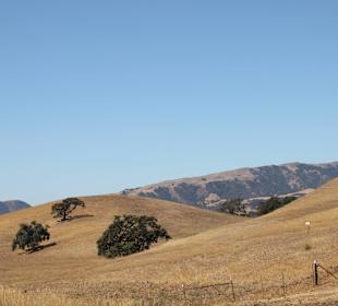 Nur noch ganz wenig grüne Felcken..
