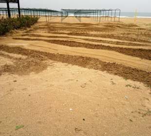 Strandpromenade im März