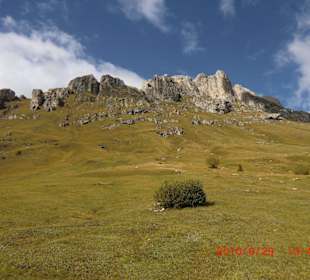 Peitlerwiesen