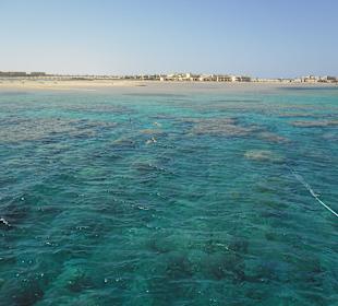 Safaga
