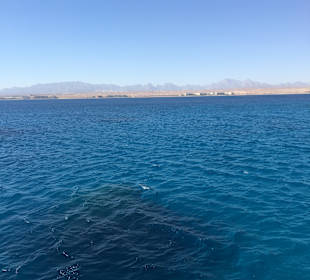 Schnorcheln Makadi Bay