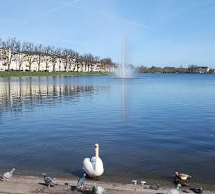 Stadtrundfahrt Schwerin