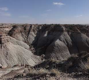 Цветная пустыня Аризоны_Blue_Mesa7