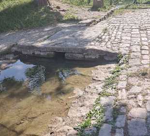 Für die Vögel ein Traum