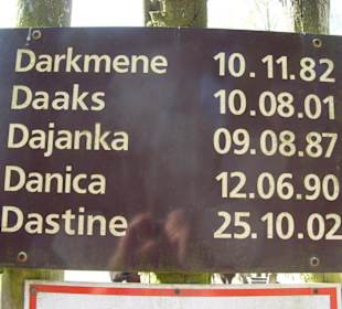 Die im Park geborenen Wisente