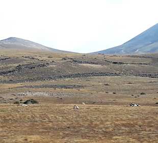 Inselrundfahrt AIDA Tagestour