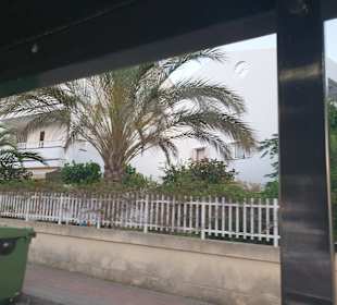 Stadtrundfahrt Alcudia