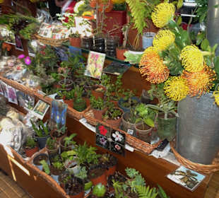 Rundgang durch die Markthalle von Funchal