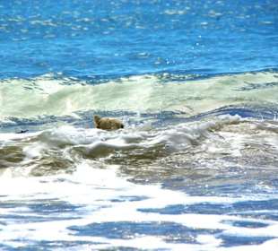 Ende September 2010 Inspirationen