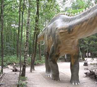 Dinosaurier Museum Altmühltal