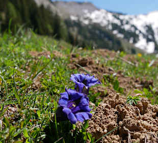 Wandern St. Johann im Pongau