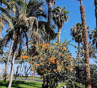 Stadtrundfahrt Morro Jable