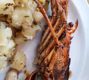 Mittagessen auf Paradies island