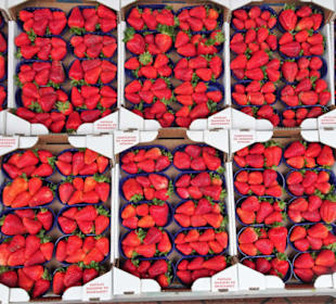 Eindrücke vom Wochenmarkt Nuoro