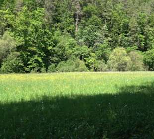 Wanderweg Sieben-Täler-Runde 