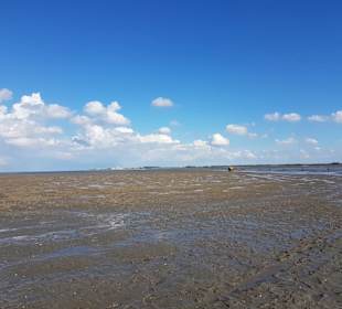 Wattenmeer 