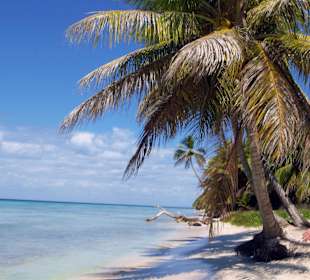 Wybrzeże karaibskie (Saona)