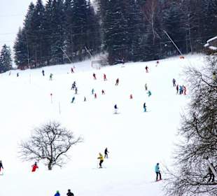 Scheffau/Skigebiet im Bild