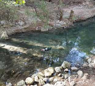 Fluss