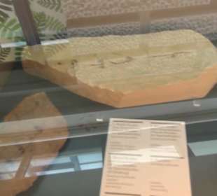 Niedersächsisches Landesmuseum