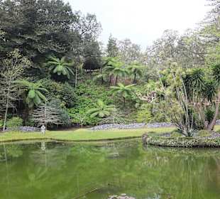 See im Park