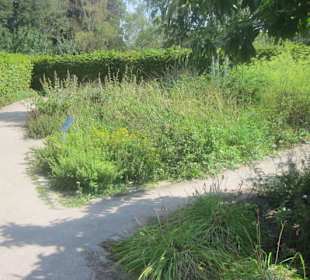 Kurpark Bad Bergzabern