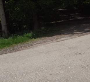 Römisches Freilichtmuseum Hechingen-Stein