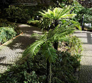 Anlage Planten un Blomen