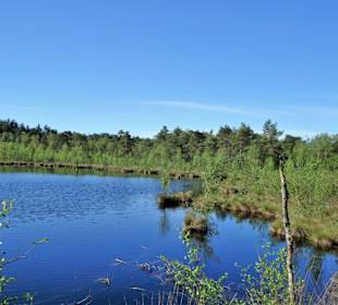 Impressionen vom Rundgang durch das Pietzmoor