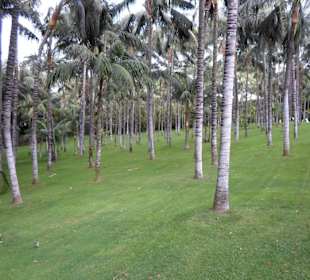 Allgemein gepflegte Anlage