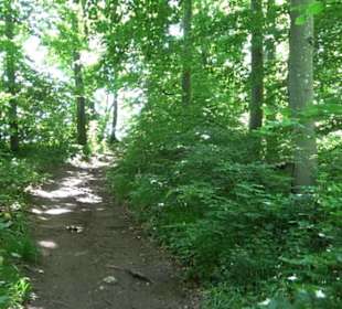 Premiumwanderweg "hochgelegen"