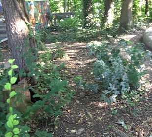 Leibfriedscher Garten