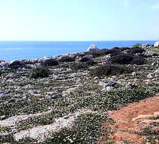 Nationalpark Kap Greco