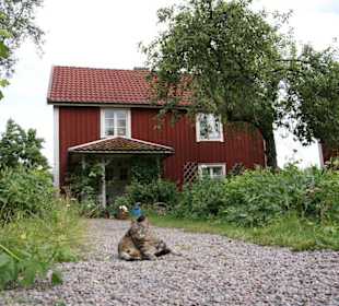 Bullerbü / Sevedstorp - Mittelhof mit Katze