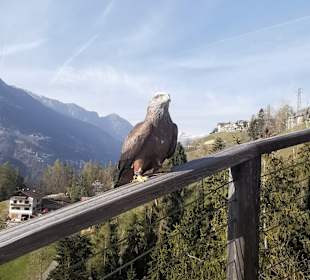 Wandergebiet Schennaberg