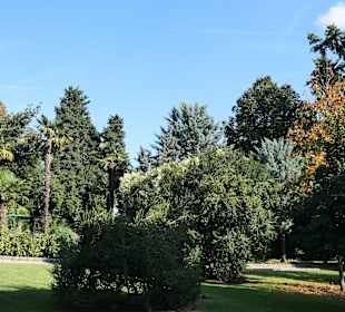 Opatija: Bei einem Bummel durch den Angiolina-Park