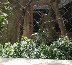 Malta Falconry Centre