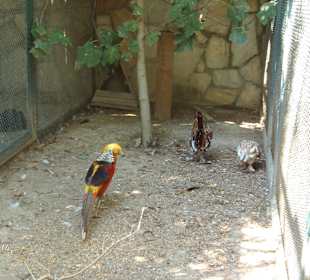 Manavgat Zoo