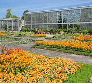 Rundgang durch den Berggarten Hannover