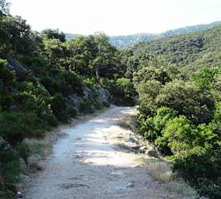 Impressionen von einer Wanderung an der Massane