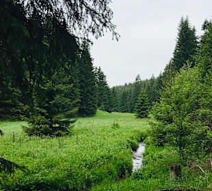 Wandern Rechenberg-Bienenmühle