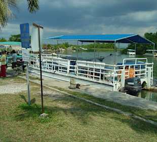 Black River Safari