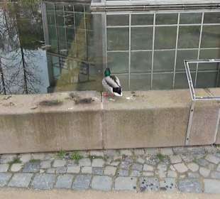 Tropicarium - Feuchte Tropen