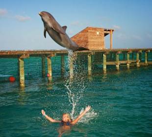 Swimming with dolphins
