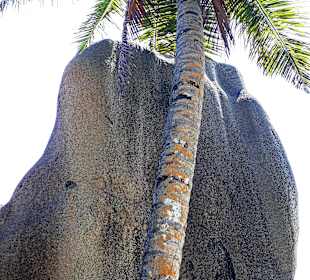 Anse Source d'Argent