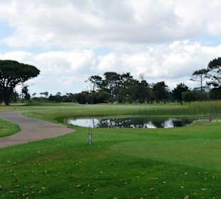 Royal Cape Golf Club