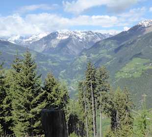 Geführte Wanderung auf die Bärengrüblalm