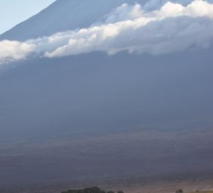 Geführte Touren Marco Polo Tours & Safaris Diani Beach